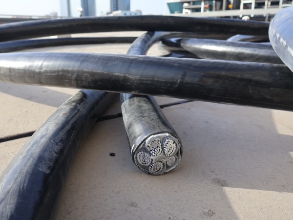 電纜不延燃試驗(yàn)、阻燃檢測(cè)